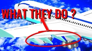 What are Beneath the Airplane Wings ?