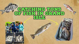 Catching Tons of Fish in Grand Isle