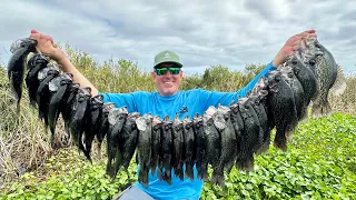 Giant Black Crappie in the Jungle & Fried Back Bones! (Catch & Cook)