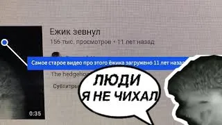 А чихал ли ёжик? Шок, нас всех обманули!!!