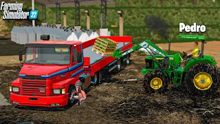 O Granjeiro #61 | Puxando melancia com a scania 112 reformada | Farming simulator 22
