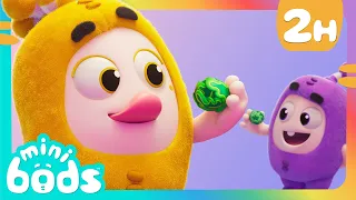 When in Doubt, Brussel Sprouts! 🥦🫛 | Minibods | Preschool Cartoons for Toddlers