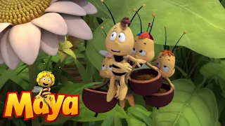 Solar Queen - Maya the Bee - Episode 43