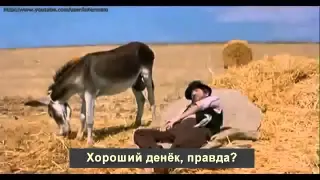 Часы - Яйца осла. Ох уж эти итальянцы!