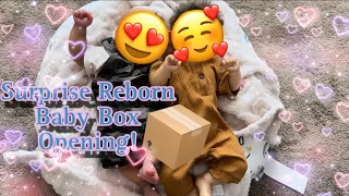 Surprise Double Reborn Baby Box Opening! | Mya Reborns