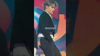 냥냥라차는 사실 장꾸조합 [220918 스트레이키즈 콘서트 리노 필릭스]