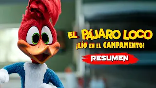 EL PAJARO LOCO SE VA DE CAMPAMENTO (2024) | Resumen en 10 Minutos - Netflix