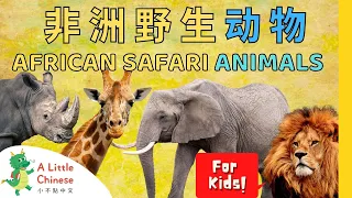 20 Amazing African Safari Animals + Song in Chinese 非洲野生动物 | Chinese for Kids, Toddlers & Babies