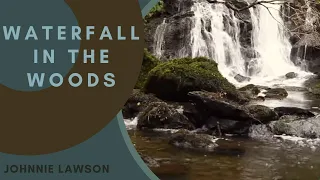 Forest Nature Sounds - Waterfall in the Woods - 8 Hour Birdsong Version - Sleeping Series Ep.1