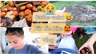 Daily Vlog | Kastanien sammeln | Rewe | Kürbis kaufen | Familienvlog