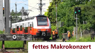 Bregenz:📣 Fette Makros aus Rh4748 & ICE4  als ICE118➡️Münster