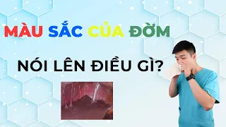 MÀU SẮC CỦA ĐỜM NÓI LÊN ĐIỀU GÌ? - LÀM GÌ KHI KHẠC RA ĐỜM HỒNG, ĐEN, XANH, TRẮNG? - Anh Bác sĩ