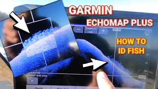 Tips & Tricks to ID Fish on Your Garmin Echomap Plus Unit!! (+ LIVESCOPE!)