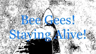 Bee Gees! Staying Alive!