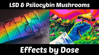 LSD vs Psilocybin Mushrooms: Effects by Dose