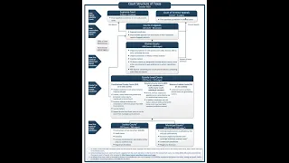 Court Structure (Part 4): Courts of Last Resort