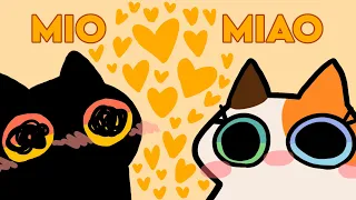 MIO MIAO