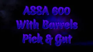 {167} How To Pick ASSA Barrels: A Better Way To Pick The ASSA 600?