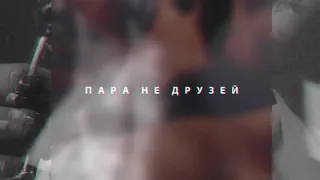 VISHNEV - Пара не друзей (audio)