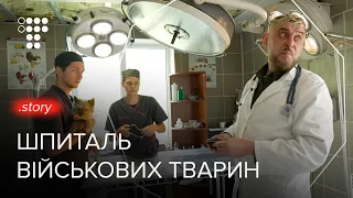 "There was a hit during surgery." The first military veterinary hospital in Ukraine