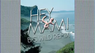 Hey Mami (Big Wild Remix) - Sylvan Esso
