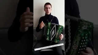 Видео отзыв от Александра из Читы. Гармонь ШУЙСКАЯ 🔥