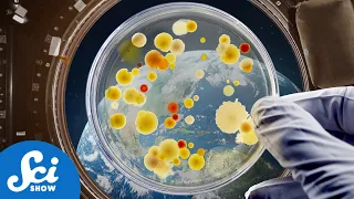 Growing Bacteria in Space Stations | Compilation