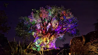 [4K] Tree of Life Show - Disney's Animal Kingdom