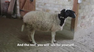 Most watched  popular heart-touching reunion of mother reunited with 2 babies -shed happy tears