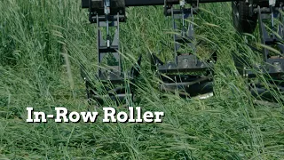 In-Row Roller Crimping Cereal Rye for Earlier Soybean Planting - Practical Cover Croppers