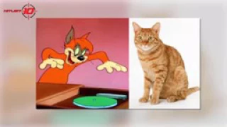 Tom and Jerry In Real Life   YouTube