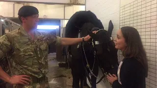 Behind the scenes with the Household Cavalry