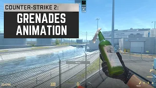 CS 2 All Grenades Inspect & Rare Animations