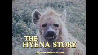 Jane Goodall   The Hyena Story