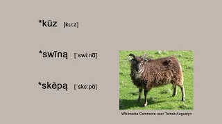 Proto-Germanic Farming Terminology