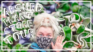 ABSURD Plant Tour & Haul! Go Houseplant Shopping With Me!