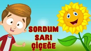 SORDUM SARI ÇİÇEĞE (Muhteşem Çocuk İlahisi) / Bibercik TV Çocuk İlahileri