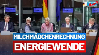 Vortragsabend Milchmädchenrechnung Energiewende - AfD-Fraktion im Bundestag