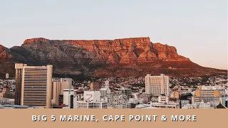 CAPE TOWN VLOG // SOUTH AFRICA