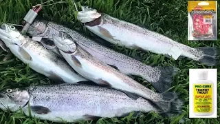 Catching trouts with Mice tail and Pro-Cure Trophy Trout Combo