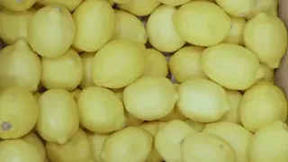 World's Largest Lemon Battery 🍋🍋fruit battery - using 2,923 lemons!