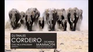 DJ Thales Cordeiro - Call me a Spaceman vs Mammoth vs Ocarina