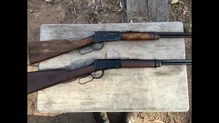 Differences Between the ERMA EG71 and Henry H001 Lever Action .22 Rifles.