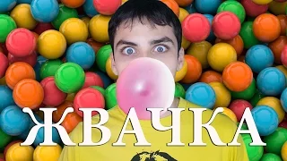 10 ИНТЕРЕСНЫХ ФАКТОВ О ЖВАЧКЕ