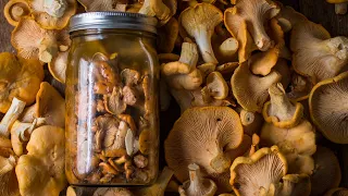 How to Pickle Mushrooms