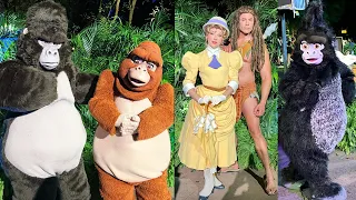 Tarzan & Jane, Kala, Kerchak & Terk Meet & Greet at Disney’s Animal Kingdom - DVC Moonlight Magic 23
