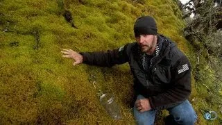 DIY Survival: Water You Can Drink Without Boiling | Dual Survival