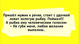 Анекдот Дня! Про Соседа, Рыбалку и Золотую рыбку! Приколы Юмор Смех!