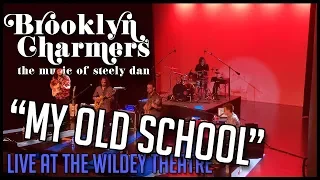 "My Old School" (Audience Multi-Cam Edit) live at the Wildey Theatre