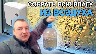 Осушитель воздуха - быстро и просто! Нет влажности, плесени и грибка. DEXP DH-30DGMA